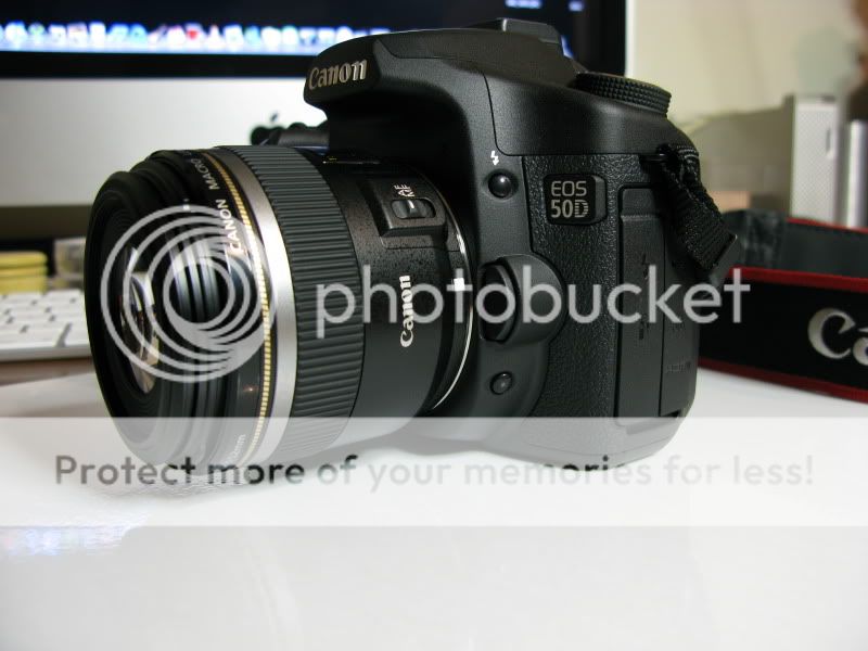 Présentation Canon EOS 50D & Canon EF-S 60mm macro USM IMG_2106